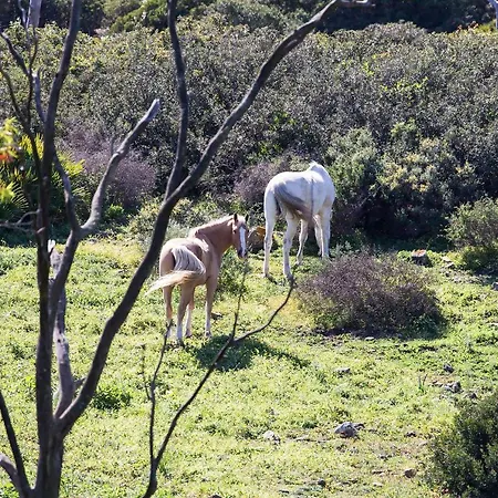 Casita Rural En Centro De Hipica * Tarifa