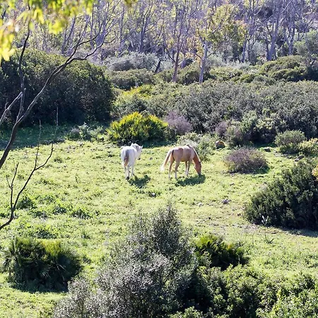 Casita Rural En Centro De Hipica Apartment